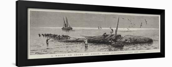 A Whale on Shore at Edkou, Near Alexandria, Off She Goes-null-Framed Giclee Print
