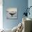 A Whale's Tail-Andreas Stridsberg-Giclee Print displayed on a wall