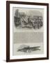 A Whale Species in the Thames-null-Framed Giclee Print