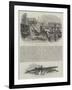 A Whale Species in the Thames-null-Framed Giclee Print