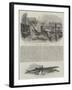 A Whale Species in the Thames-null-Framed Giclee Print