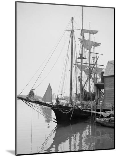 Photo, , large