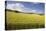 A Wheat Field in the Champagne Area, France, Europe-Julian Elliott-Stretched Canvas