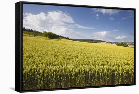 A Wheat Field in the Champagne Area, France, Europe-Julian Elliott-Framed Stretched Canvas