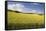 A Wheat Field in the Champagne Area, France, Europe-Julian Elliott-Framed Stretched Canvas