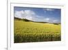 A Wheat Field in the Champagne Area, France, Europe-Julian Elliott-Framed Photographic Print