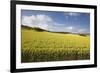 A Wheat Field in the Champagne Area, France, Europe-Julian Elliott-Framed Photographic Print