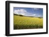 A Wheat Field in the Champagne Area, France, Europe-Julian Elliott-Framed Photographic Print