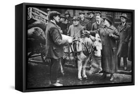 A Whip Woman, Covent Garden, London, 1926-1927-McLeish-Framed Stretched Canvas