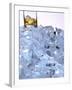 A Whiskey Glass on a Mountain of Ice Cubes-Michael Meisen-Framed Photographic Print