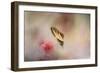 A Whisper of Yellow-Jai Johnson-Framed Giclee Print