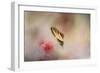 A Whisper of Yellow-Jai Johnson-Framed Giclee Print