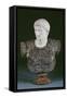 A White and Grey Marble Bust of the Emperor Augustus, Late 19th Century-null-Framed Stretched Canvas
