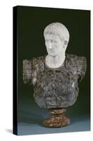 A White and Grey Marble Bust of the Emperor Augustus, Late 19th Century-null-Stretched Canvas