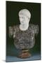 A White and Grey Marble Bust of the Emperor Augustus, Late 19th Century-null-Mounted Giclee Print