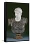 A White and Grey Marble Bust of the Emperor Augustus, Late 19th Century-null-Framed Stretched Canvas