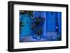 A white cat peeks out a blue door. Chefchaouen, Morocco-Karine Aigner-Framed Photographic Print