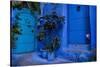 A white cat peeks out a blue door. Chefchaouen, Morocco-Karine Aigner-Stretched Canvas