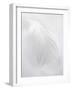 A White Feather-Barbara Lutterbeck-Framed Photographic Print