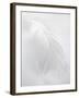 A White Feather-Barbara Lutterbeck-Framed Photographic Print