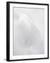 A White Feather-Barbara Lutterbeck-Framed Photographic Print