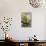 A White-Fronted Parrot in a Costa Rican Dry Forest-Neil Losin-Stretched Canvas displayed on a wall