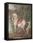 A White Horse (W/C on Paper)-Philips Wouwermans Or Wouwerman-Framed Stretched Canvas