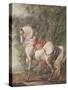 A White Horse (W/C on Paper)-Philips Wouwermans Or Wouwerman-Stretched Canvas