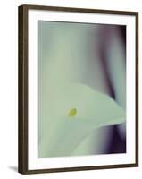 A White Lily Covering a Nude Female Figure-India Hobson-Framed Photographic Print