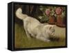 A White Persian Cat with a Ladybird-Cecil Aldin-Framed Stretched Canvas