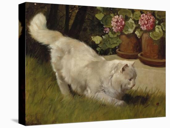 A White Persian Cat with a Ladybird-Cecil Aldin-Stretched Canvas