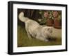 A White Persian Cat with a Ladybird-Cecil Aldin-Framed Giclee Print