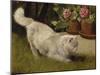 A White Persian Cat with a Ladybird-Cecil Aldin-Mounted Giclee Print