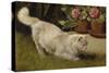 A White Persian Cat with a Ladybird-Cecil Aldin-Stretched Canvas