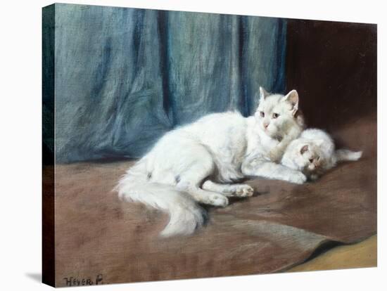 A White Persian Cat with Her Kittens (Oil on Canvas)-Arthur Heyer-Stretched Canvas