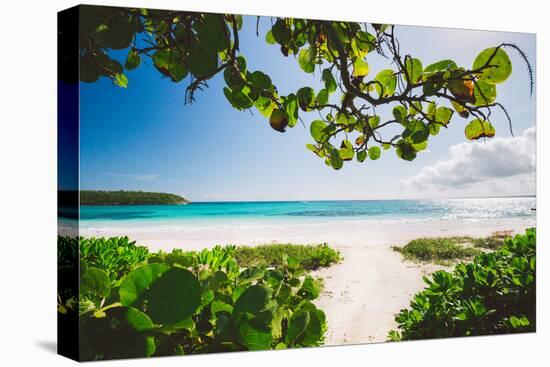 A White Sand Beach On The Island Of Eleuthera, The Bahamas-Erik Kruthoff-Stretched Canvas