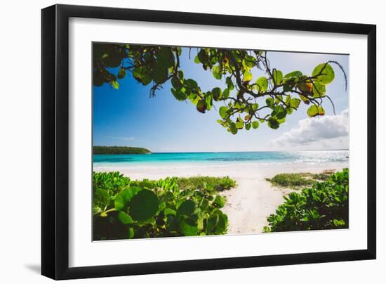 A White Sand Beach On The Island Of Eleuthera, The Bahamas-Erik Kruthoff-Framed Photographic Print