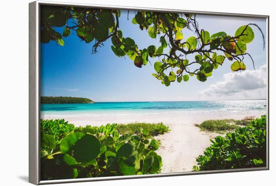 A White Sand Beach On The Island Of Eleuthera, The Bahamas-Erik Kruthoff-Framed Photographic Print