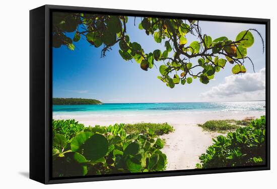 A White Sand Beach On The Island Of Eleuthera, The Bahamas-Erik Kruthoff-Framed Stretched Canvas