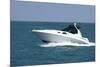 A White Speedboat at the Height of Summer.-Gary Blakeley-Mounted Photographic Print