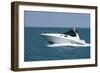 A White Speedboat at the Height of Summer.-Gary Blakeley-Framed Photographic Print