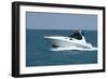 A White Speedboat at the Height of Summer.-Gary Blakeley-Framed Photographic Print