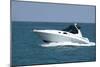 A White Speedboat at the Height of Summer.-Gary Blakeley-Mounted Photographic Print