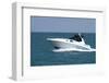 A White Speedboat at the Height of Summer.-Gary Blakeley-Framed Photographic Print