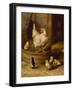 A White Sussex and a Buff Sussex with Chicks-Robert Morley-Framed Giclee Print