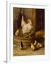 A White Sussex and a Buff Sussex with Chicks-Robert Morley-Framed Giclee Print