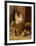 A White Sussex and a Buff Sussex with Chicks-Robert Morley-Framed Giclee Print