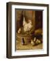 A White Sussex and a Buff Sussex with Chicks-Robert Morley-Framed Premium Giclee Print