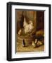 A White Sussex and a Buff Sussex with Chicks-Robert Morley-Framed Giclee Print