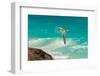 A white-tailed, or yellow-billed tropicbird in flight over clear blue water. Seychelles.-Sergio Pitamitz-Framed Photographic Print